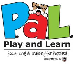Play and Learn PAL logo